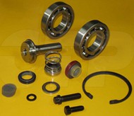 KIT-Water PUMP 1700560 Caterpillar