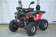  Grizzly Aerox 125 3  