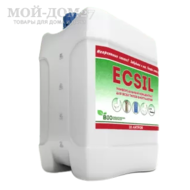  Ecsil - 10 .      ( )