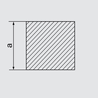  1010 